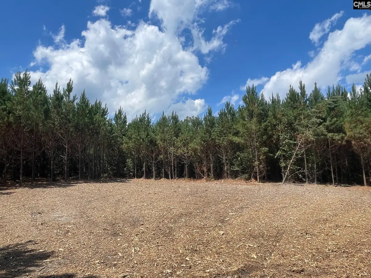 00 Lake Elliot Road, Cassatt, SC 29032 - #1
