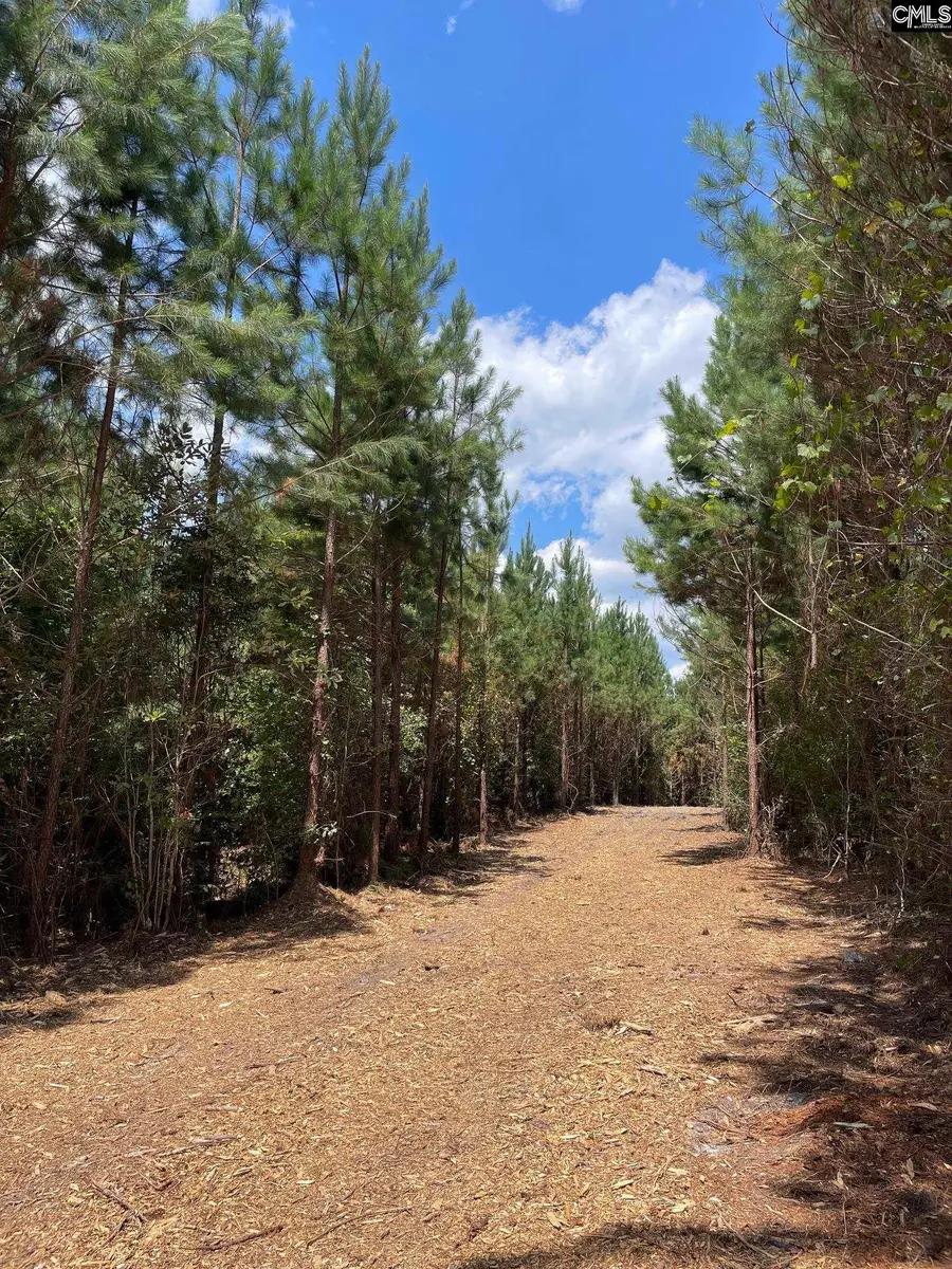 00 Lake Elliot Road, Cassatt, SC 29032 - #3