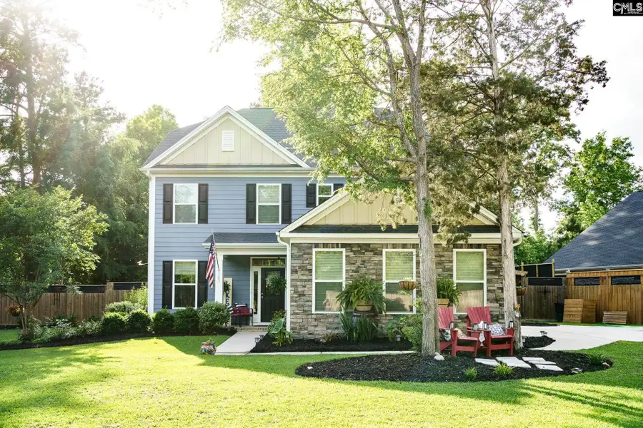 303 Pine Meadow Drive, Chapin, SC 29036 - #2