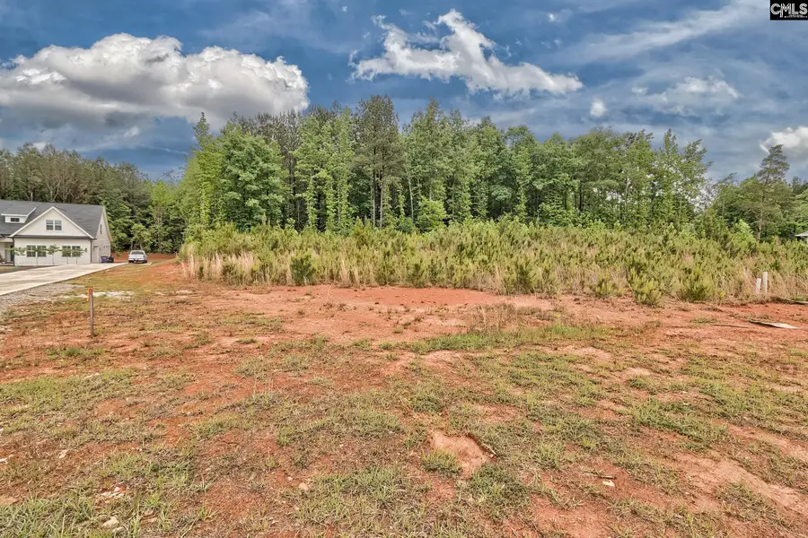 Clouds Creek Circle, Leesville, SC 29138 - #2
