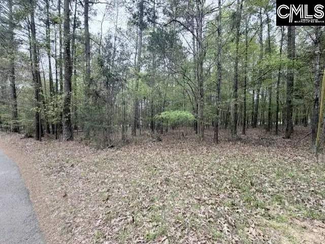 0 Kennerly Road, Irmo, SC 29063 - #1
