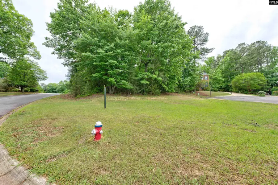 1 Aderley Court, Irmo, SC 29063 - #2