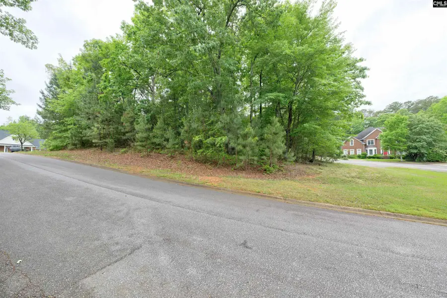 1 Aderley Court, Irmo, SC 29063 - #3