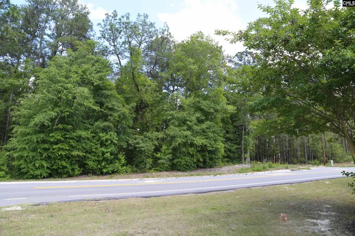 2944 Alpine Road, Columbia, SC 29223 - #1