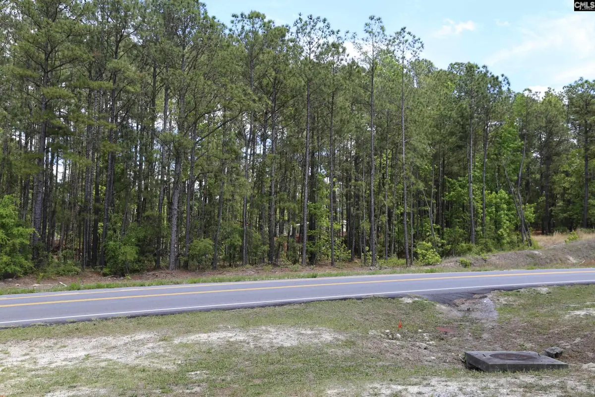 2956 Alpine Road, Columbia, SC 29223 - #1