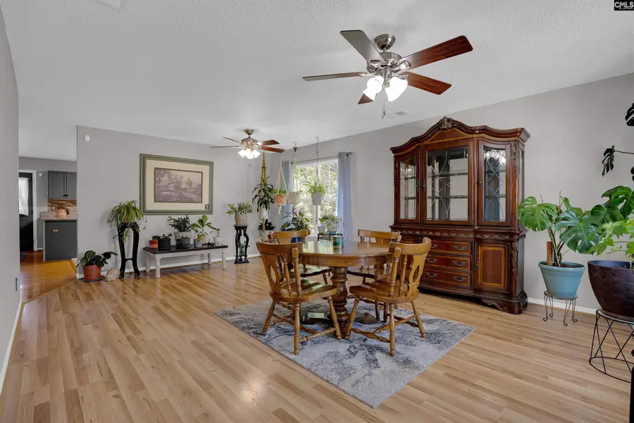 119 Silverberry Drive, Lexington, SC 29073 - #3