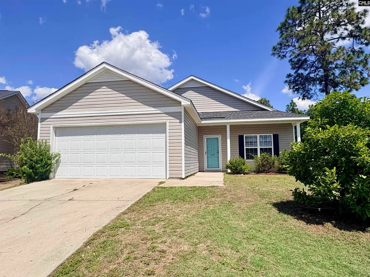 290 Baneberry Loop, Lexington, SC 29073 - #1
