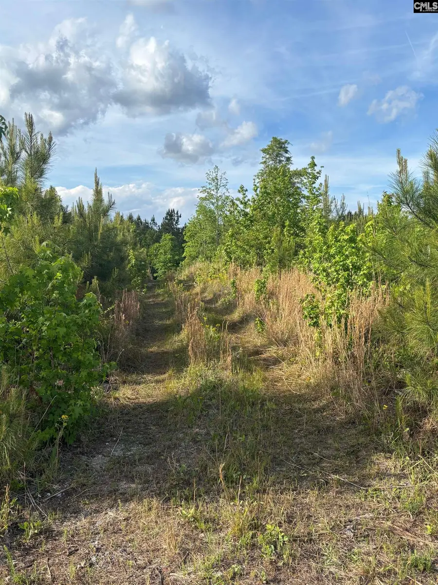 TBD Beaker Road, Heath Springs, SC 29058 - #2