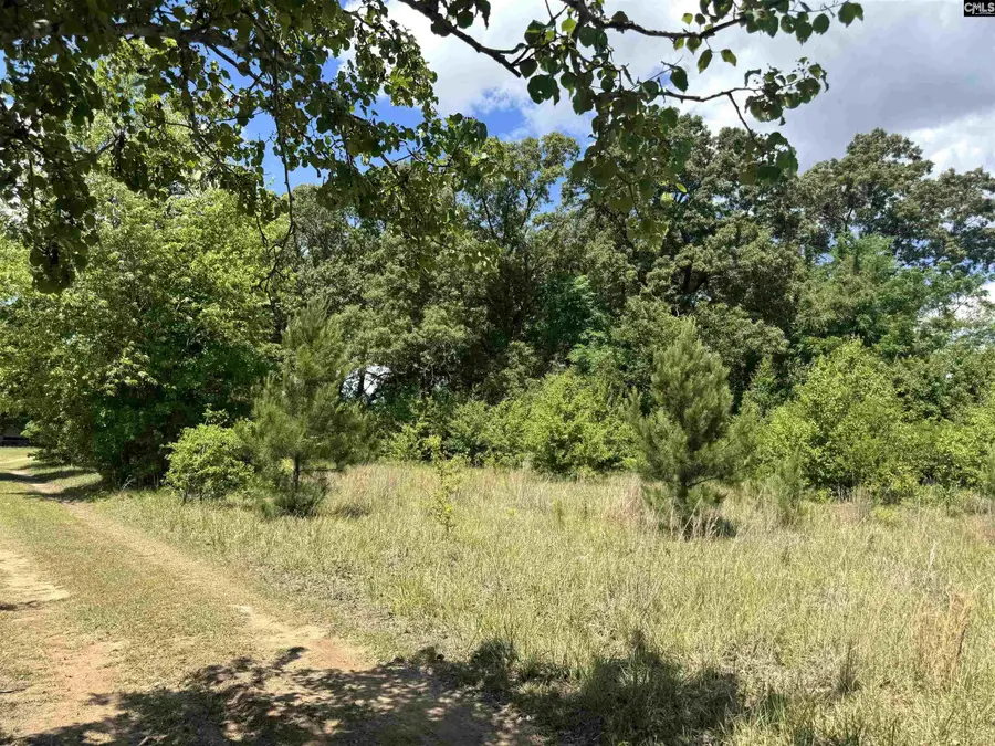 1536 Conagree Road, Hopkins, SC 29061 - #3