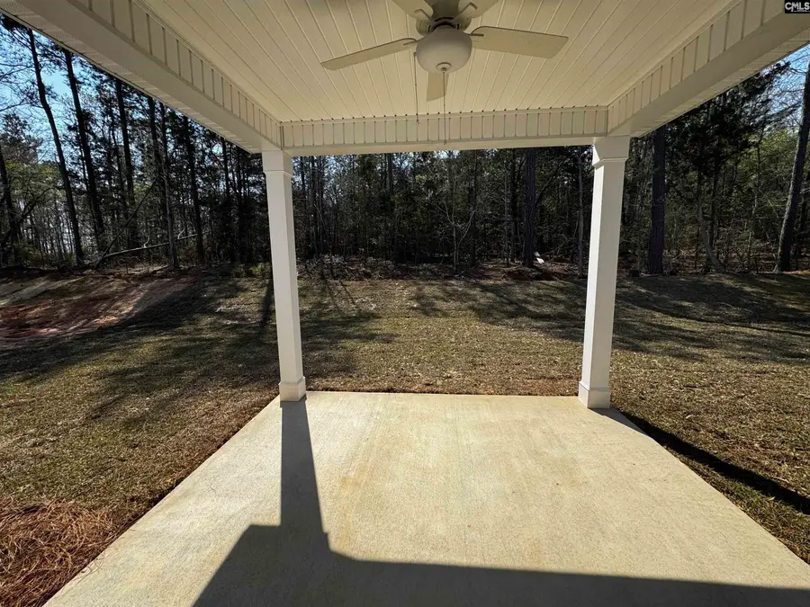 614 Griffon Drive, Chapin, SC 29036 - #2