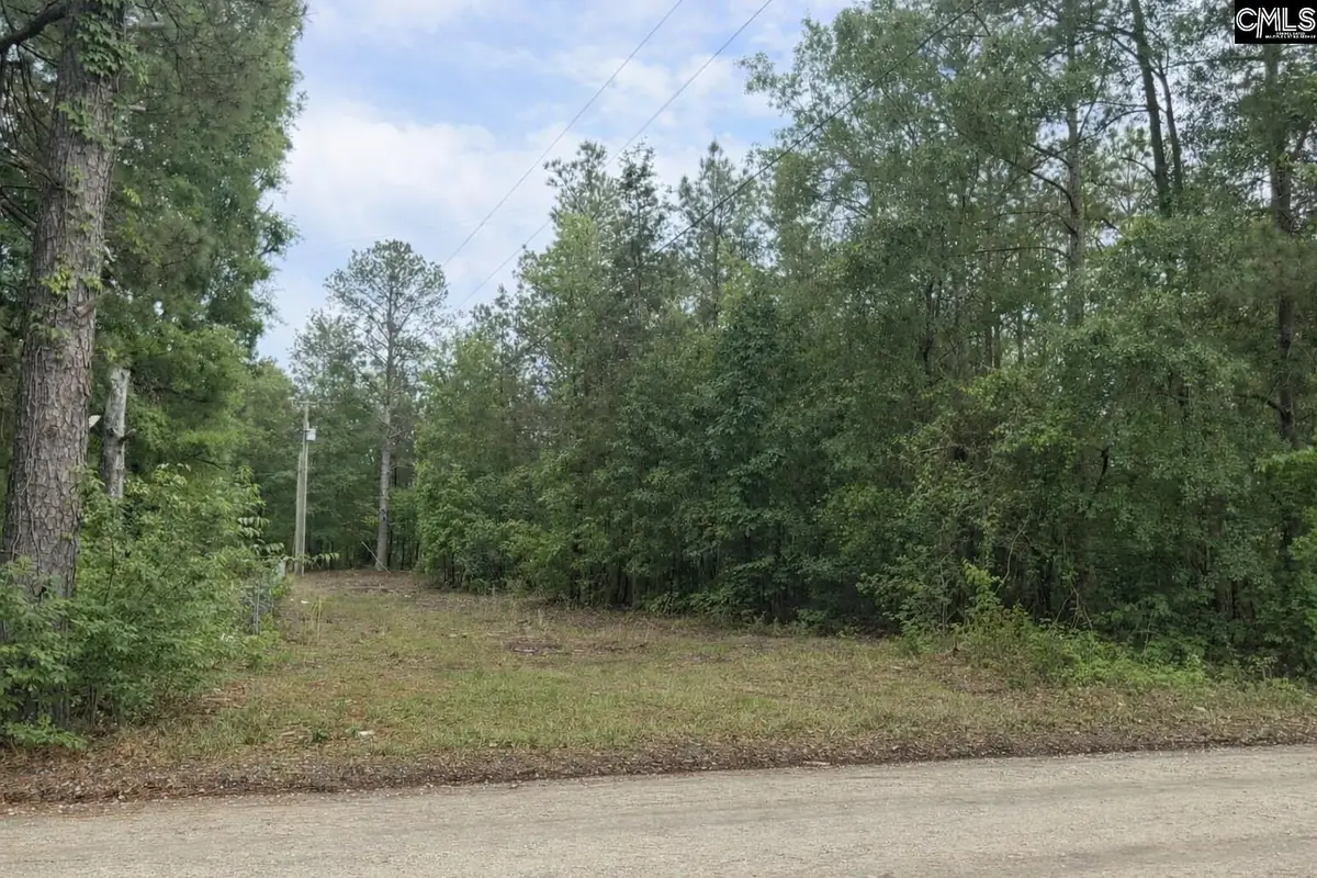 500 Bowman Avenue, Elgin, SC 29045 - #1