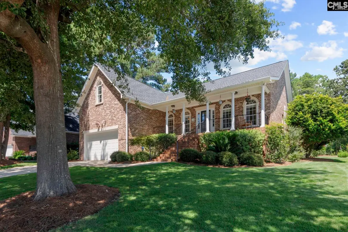 115 Pointe Overlook Drive, Chapin, SC 29036 - #1