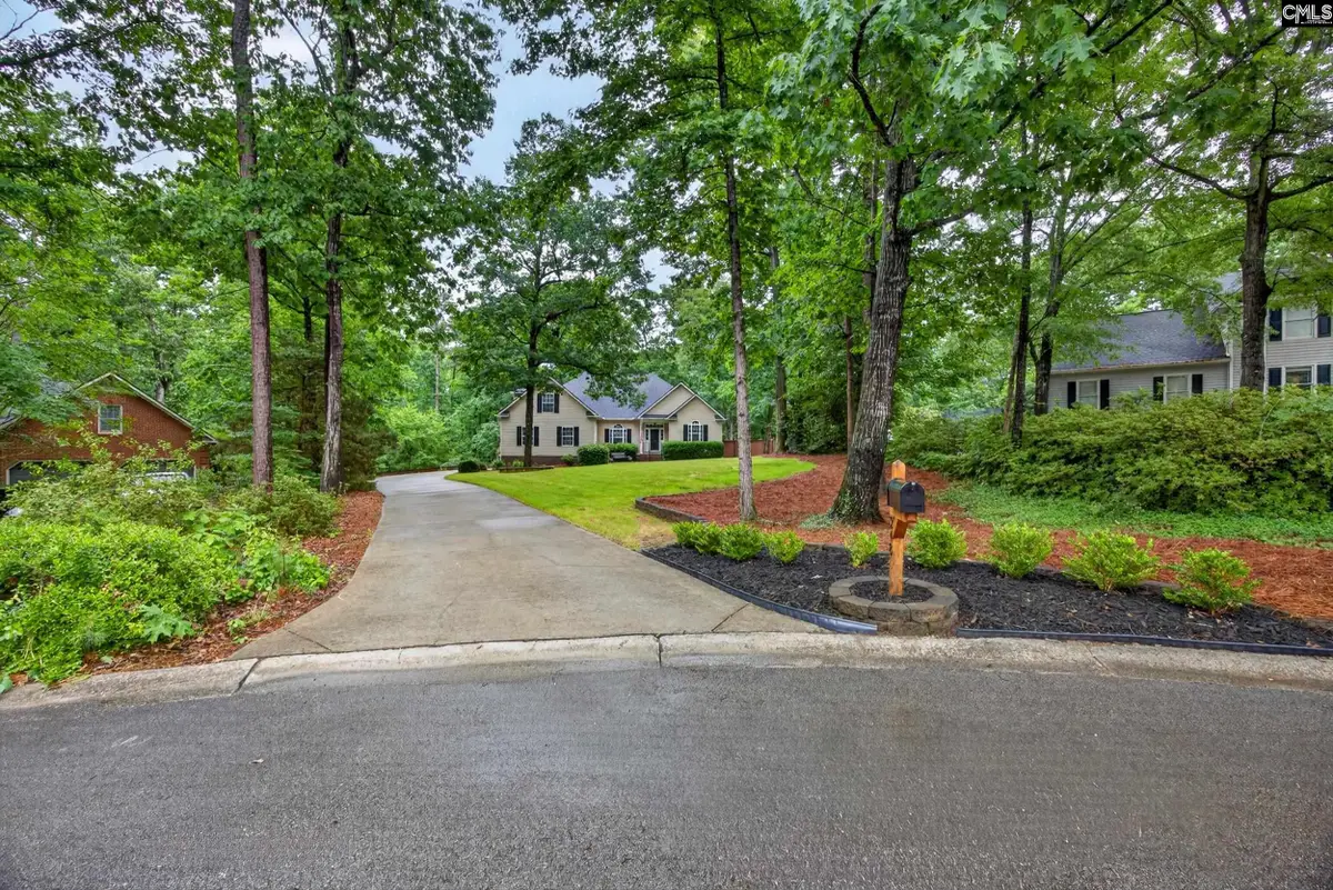 248 Platinum Drive, Lexington, SC 29072 - #1