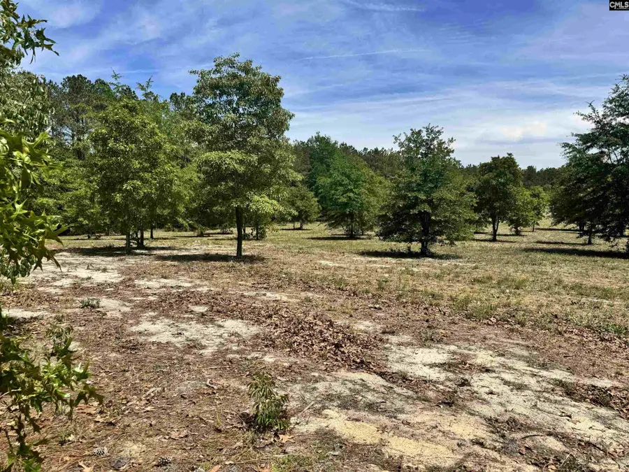 1353 Cheraw Rd, Cassatt, SC 29032 - #3