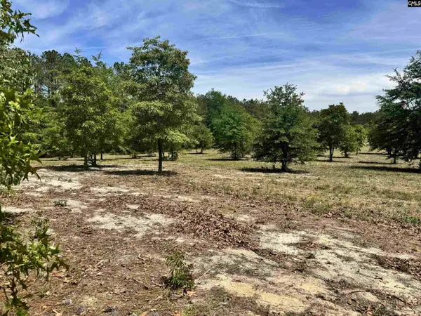 1345 Cheraw Rd, Cassatt, SC 29032