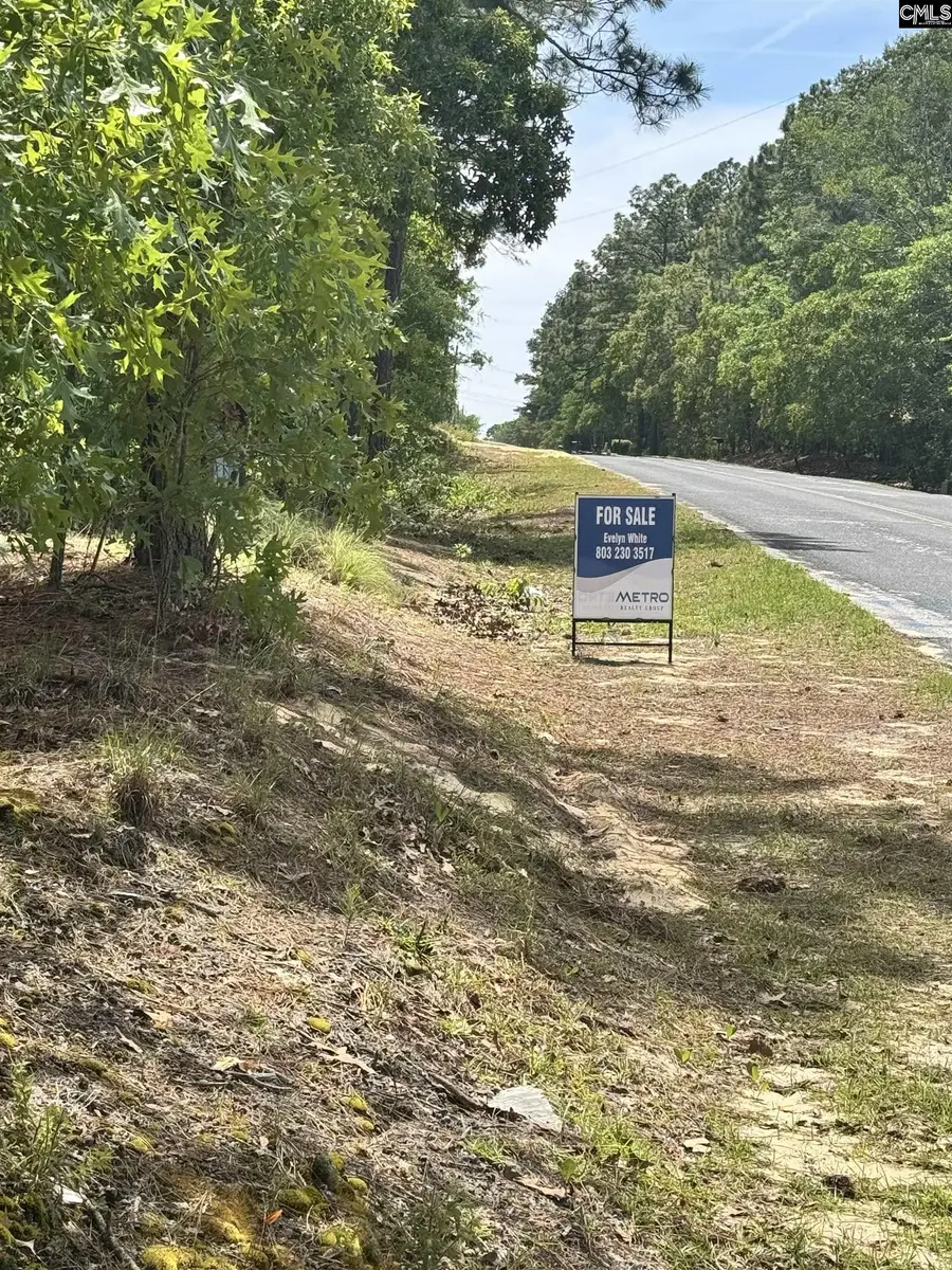 1345 Cheraw Rd, Cassatt, SC 29032 - #2