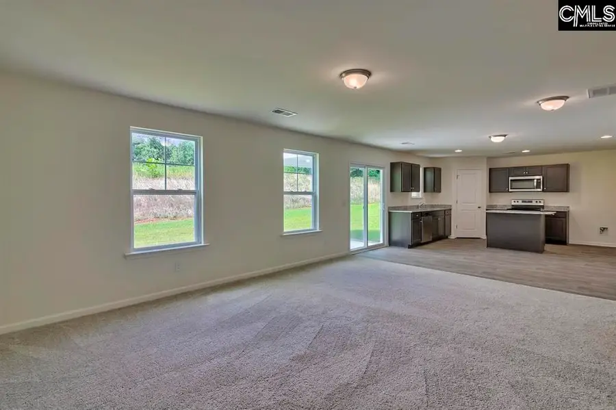 163 Savannah Woods Road, Hopkins, SC 29061 - #3