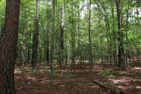 1091 Pine Grove Road, Leesville, SC 29070