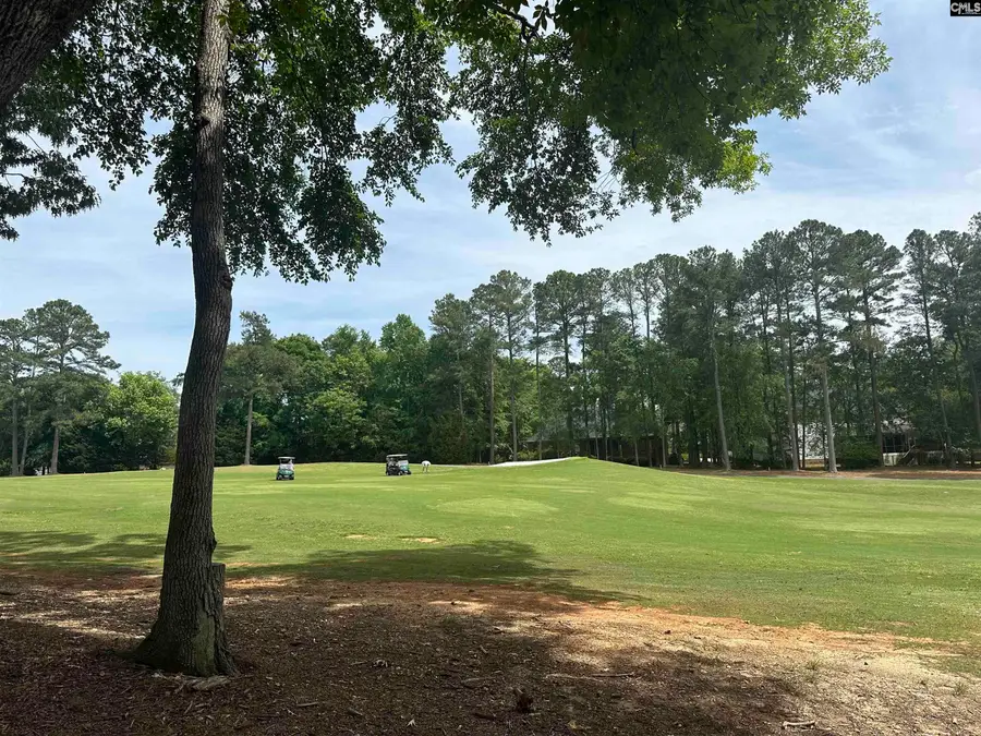 537 Misty Banks Drive, Chapin, SC 29036 - #2
