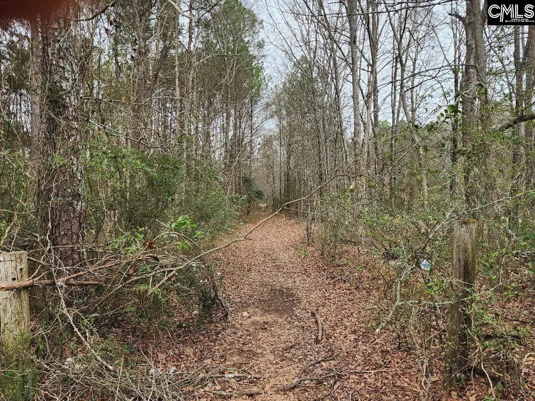 W on Giff Street, Newberry, SC 29108 - #1