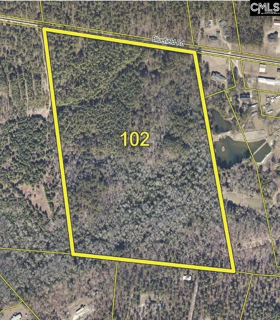 000 Bluefield Road, Lexington, SC 29073 - #1