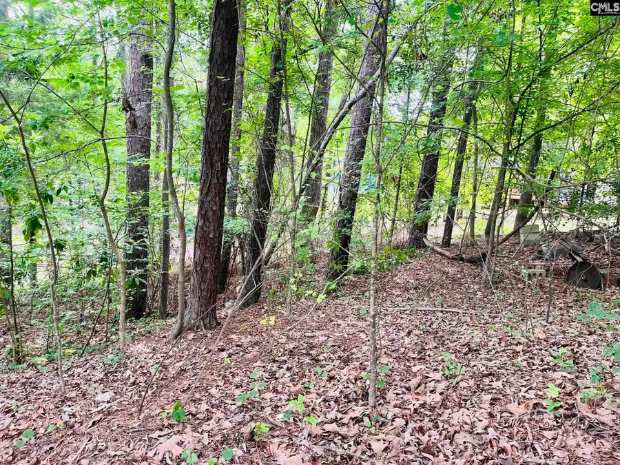 tbd Lake Drive, Leesville, SC 29070 - #3