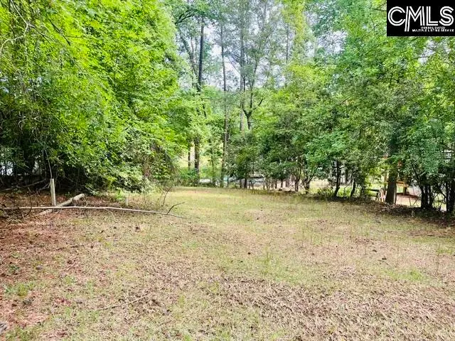 1179 Lake Drive, Leesville, SC 29070 - #1
