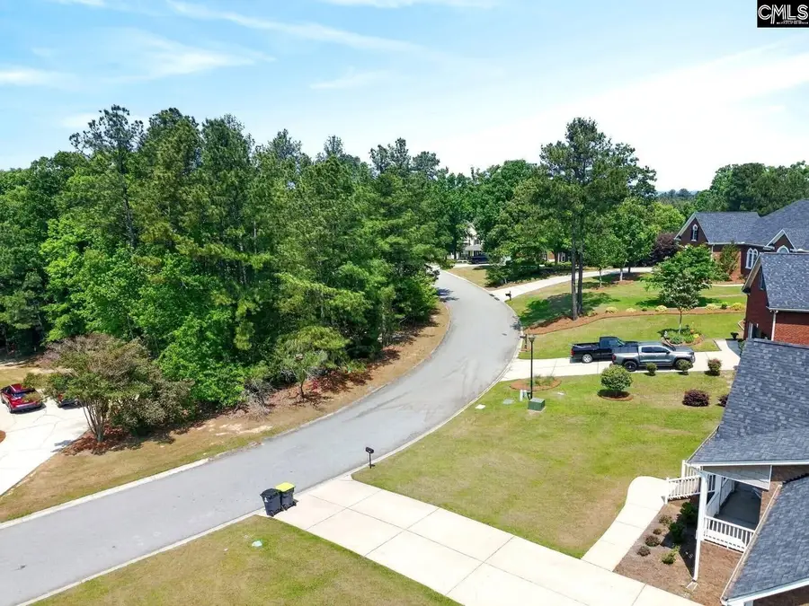 1329 Martins Camp Lane, Gilbert, SC 29054 - #3
