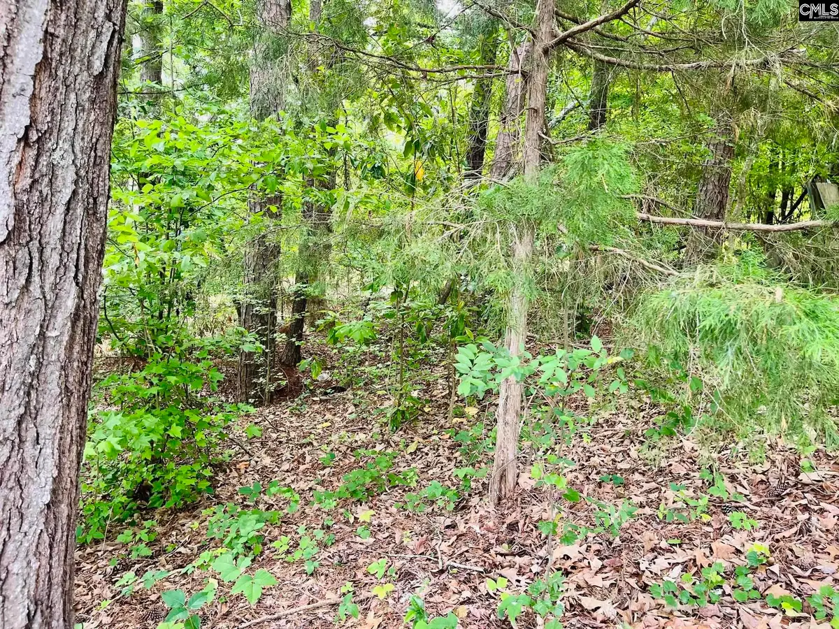 TBD Aiken Street, Batesburg Leesville, SC 29060 - #1