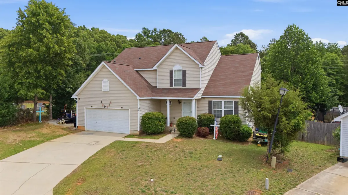 316 Turkey Beard Court, Chapin, SC 29036 - #1