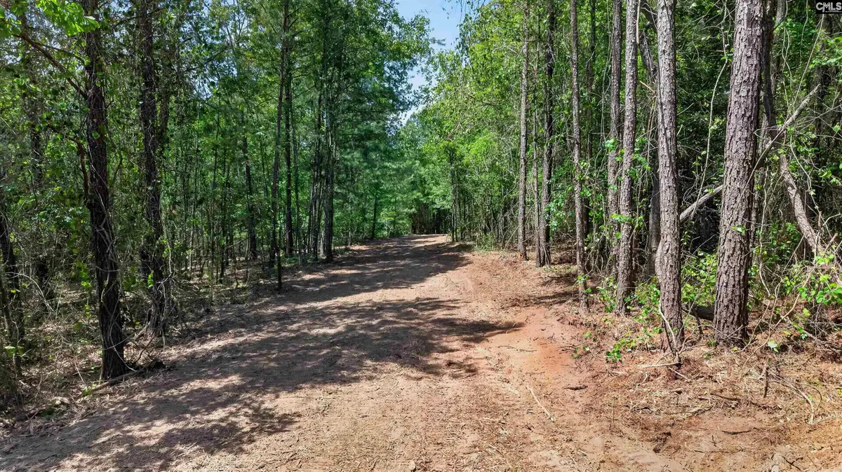 1176A Old Stagecoach Road, Camden, SC 29020 - #1