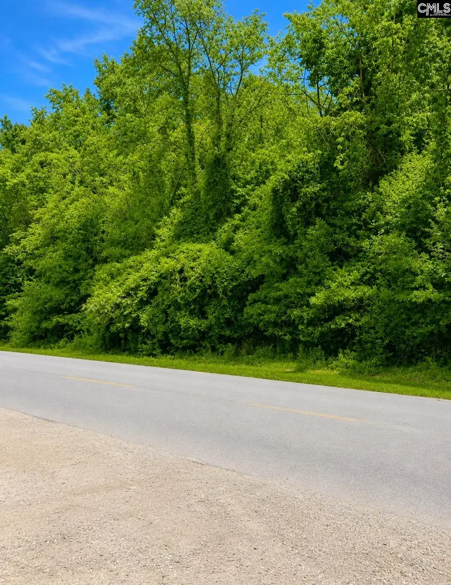 1288 Maple Avenue, Denmark, SC 29042 - #2