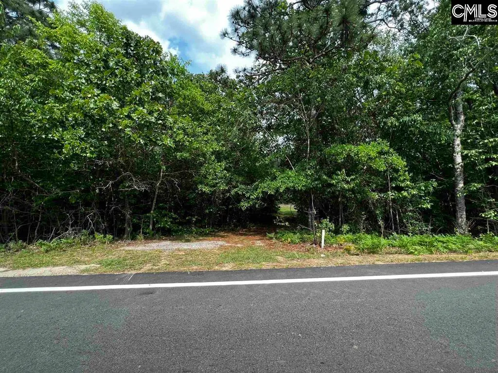 410 Boy Scout Road Road, Gaston, SC 29053 - #1