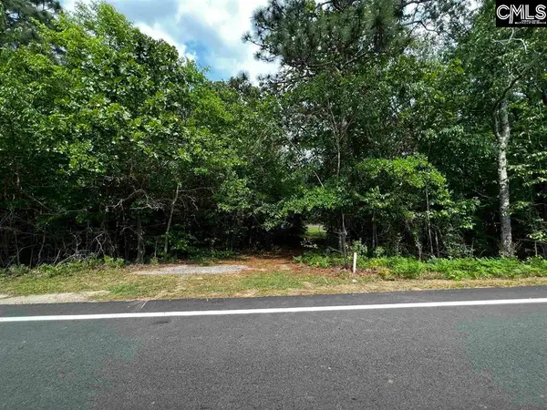 410 Boy Scout Road Road, Gaston, SC 29053