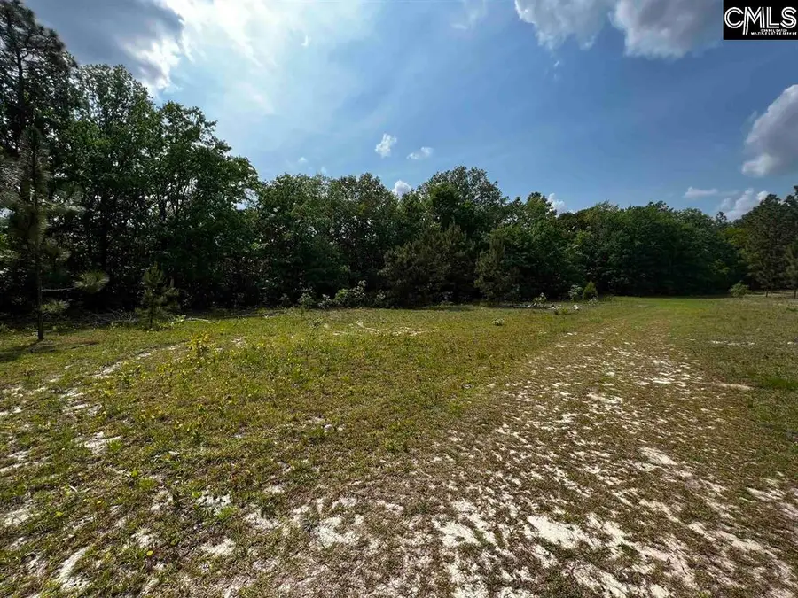 410 Boy Scout Road Road, Gaston, SC 29053 - #3