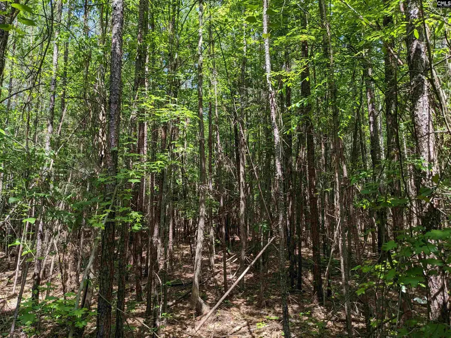 Jewel Drive, Winnsboro, SC 29180 - #3