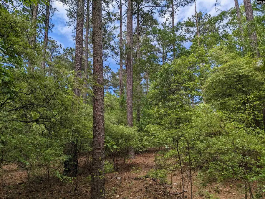Syrup Mill Road, Ridgeway, SC 29130 - #3