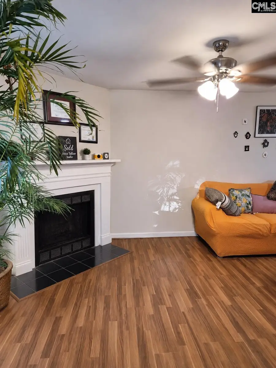 6002 Village Creek Drive, Columbia, SC 29210 - #3