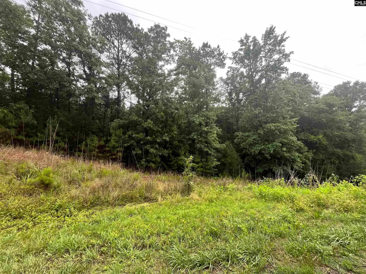 0 Carlisle Whitmire Hwy, Whitmire, SC 29178 - #1