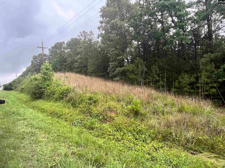 0 Carlisle Whitmire Hwy, Whitmire, SC 29178 - #2