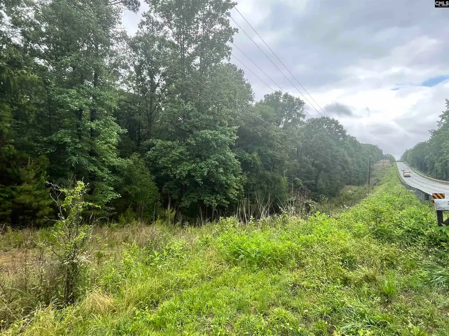 0 Carlisle Whitmire Hwy, Whitmire, SC 29178 - #3