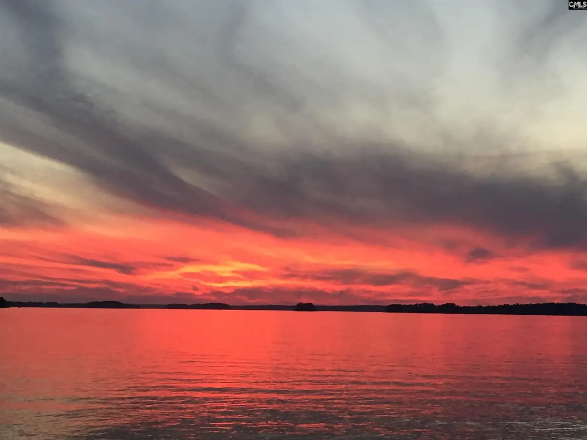 1145 Indian Summer Point, Chapin, SC 29036 - #1