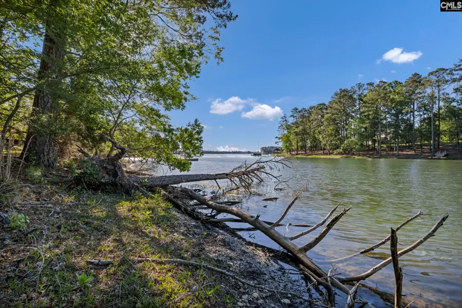 0 Lominack Road, Prosperity, SC 29127 - #3