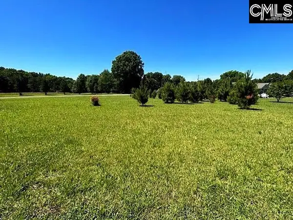 TBD Shady Acres Drive, Chapin, SC 29036