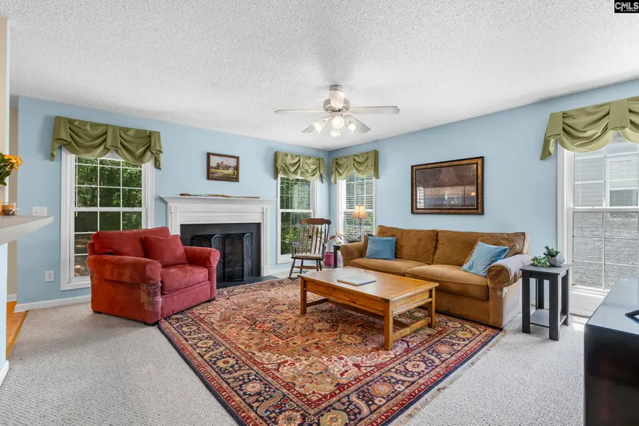 202 Hope Trace Way, Irmo, SC 29063 - #3