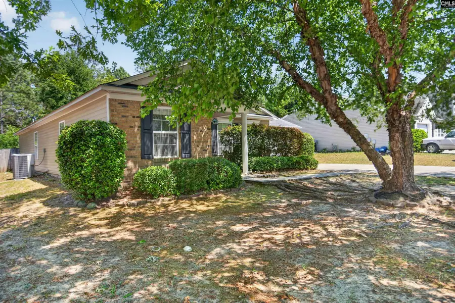 160 Star Hill Lane, Lexington, SC 29072 - #3