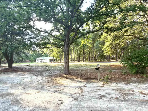123 Mack Edisto Road, Swansea, SC 29160