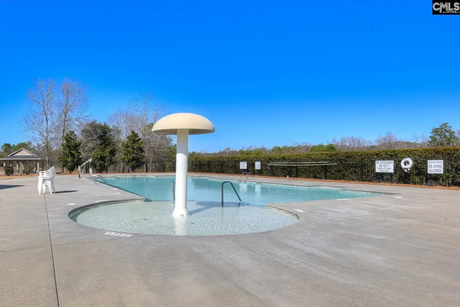 2128 Coral Daisy Trail, Lexington, SC 29073 - #2