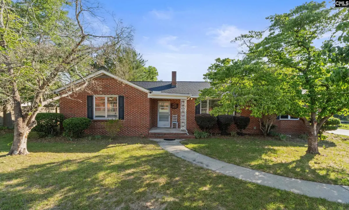 729 Magnolia Street, Pelion, SC 29123 - #1