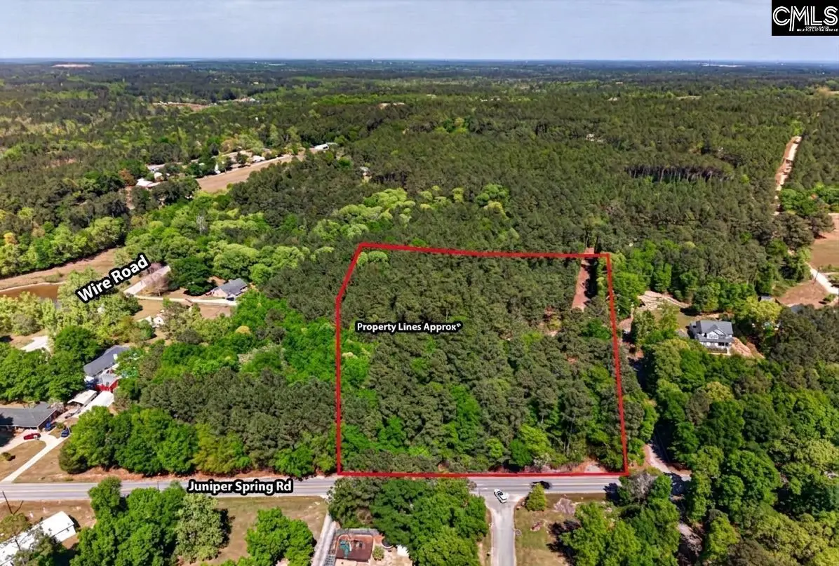 219 Juniper Springs Road #PARCEL A &B, Gilbert, SC 29054 - #1